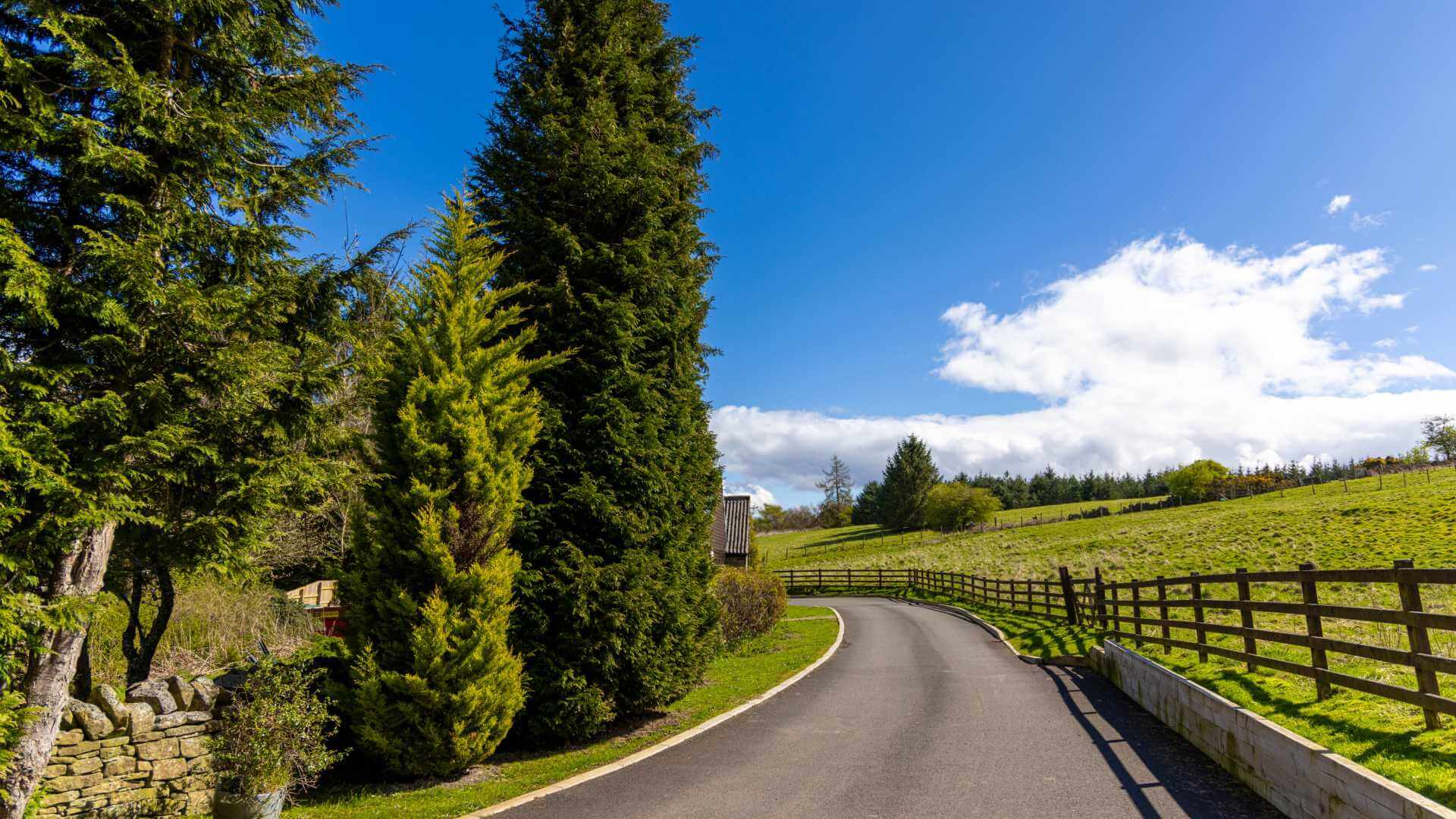 Driveway